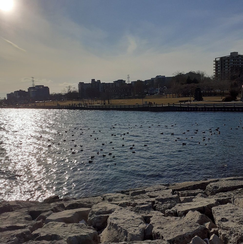 Meet your Posher, Simona - Picture 2 of 2